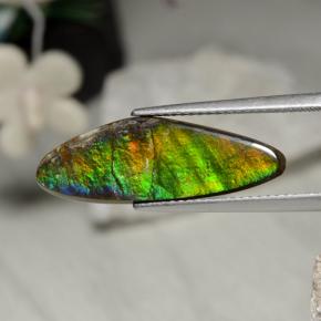 Ammolita multicolor natural de 5,43 ct, forma elegante, opaco