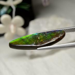 Ammolita multicolor natural de 5,43 ct, forma elegante, opaco