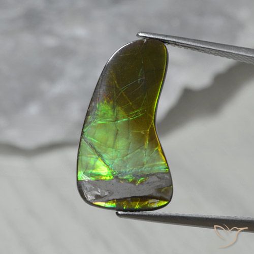 7.43ct Natural Multicolor amolita, Elegante, Opaco