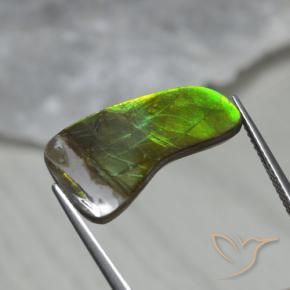 amolita Multicolor natural de 7.43 ct, Elegante, Opaco