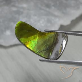 amolita Multicolor natural de 7.43 ct, Elegante, Opaco