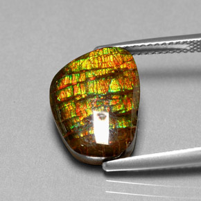 Ammolita multicolor natural de 6,74 ct, forma elegante, opaco