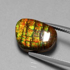 Ammolita multicolor natural de 6,74 ct, forma elegante, opaco