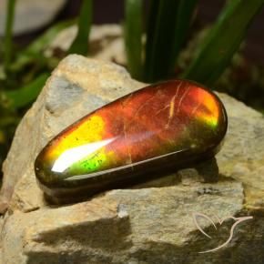 amolita Multicolor natural de 23.51 ct, Elegante, Opaco