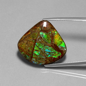 Ammolita multicolor natural de 18,68 ct, forma elegante, opaco