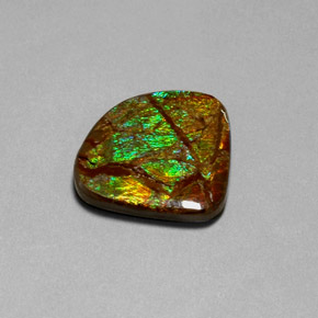 Ammolita multicolor natural de 18,68 ct, forma elegante, opaco