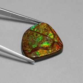 Ammolita multicolor natural de 18,68 ct, forma elegante, opaco