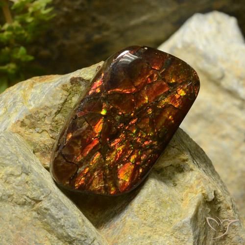 amolita Multicolor natural de 17.42 ct, Elegante, Opaco