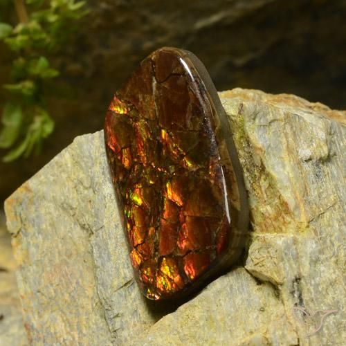 amolita Multicolor natural de 17.42 ct, Elegante, Opaco