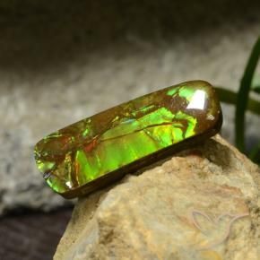 amolita Multicolor natural de 17.42 ct, Elegante, Opaco