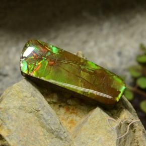 amolita Multicolor natural de 17.42 ct, Elegante, Opaco