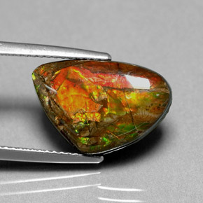 Ammolita multicolor natural de 5,71 ct, forma elegante, opaco