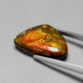 Ammolita multicolor natural de 5,71 ct, forma elegante, opaco