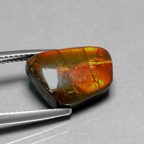 Ammolita multicolor natural de 6,41 ct, forma elegante, opaco