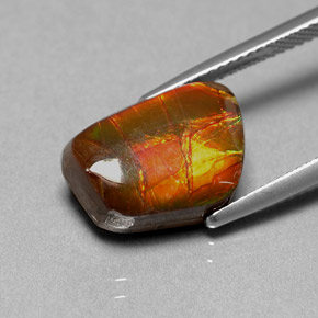 Ammolita multicolor natural de 6,41 ct, forma elegante, opaco