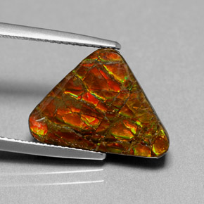 Ammolita multicolor natural de 6,44 ct, forma elegante, opaco