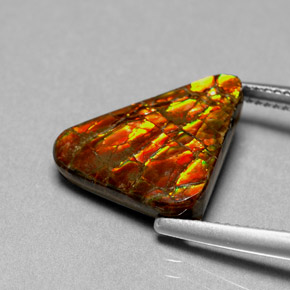 Ammolita multicolor natural de 6,44 ct, forma elegante, opaco