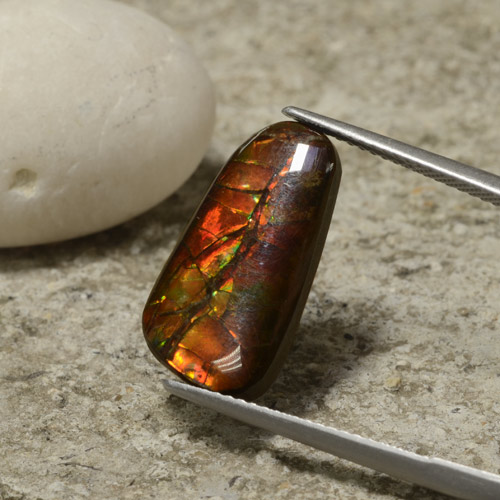 Ammolita multicolor natural de 6,70 ct, forma elegante, opaco