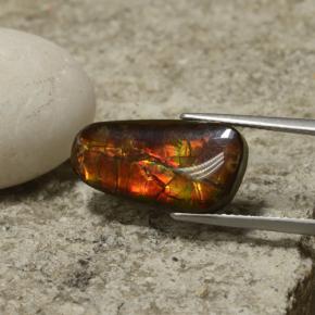 Ammolita multicolor natural de 6,70 ct, forma elegante, opaco