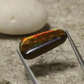 Ammolita multicolor natural de 6,70 ct, forma elegante, opaco