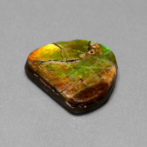 Ammolita multicolor natural de 7,00 ct, forma elegante, opaco