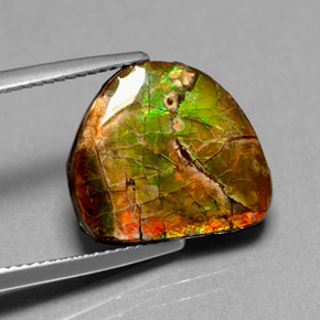 Ammolita multicolor natural de 7,00 ct, forma elegante, opaco