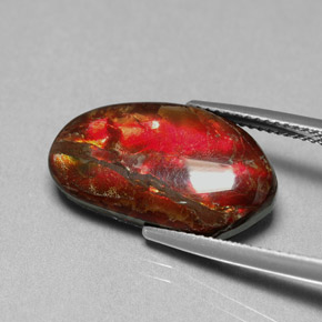 Ammolita multicolor natural de 7,65 ct, forma elegante, opaco