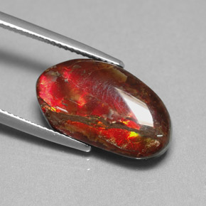 Ammolita multicolor natural de 7,65 ct, forma elegante, opaco