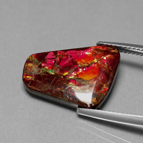 Ammolita multicolor natural de 7,81 ct, forma elegante, opaco