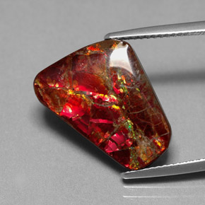 Ammolita multicolor natural de 7,81 ct, forma elegante, opaco