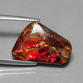 Ammolita multicolor natural de 7,81 ct, forma elegante, opaco