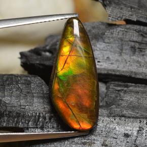 Ammolita multicolor natural de 8,00 ct, forma elegante, opaco