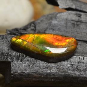 Ammolita multicolor natural de 8,00 ct, forma elegante, opaco