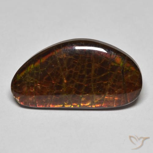 8.23ct Natural Multicolor amolita, Elegante, Opaco