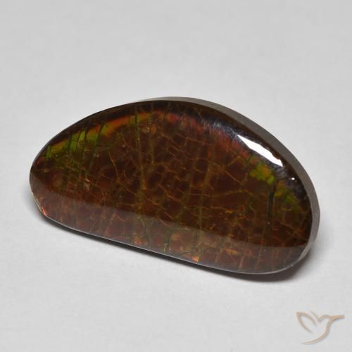 amolita Multicolor natural de 8.23 ct, Elegante, Opaco