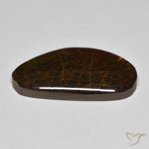 amolita Multicolor natural de 8.23 ct, Elegante, Opaco