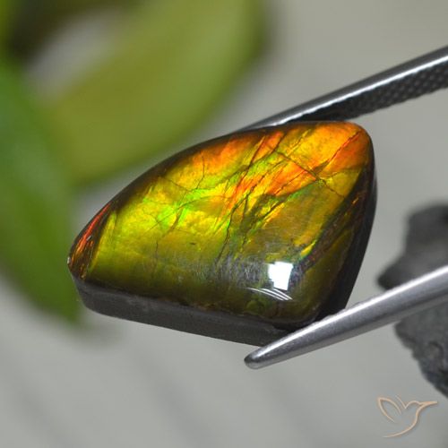 8.39ct Natural Multicolor amolita, Elegante, Opaco