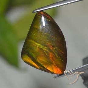 Ammolita multicolor natural de 8,39 ct, forma elegante, opaco