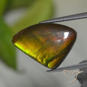 Ammolita multicolor natural de 8,39 ct, forma elegante, opaco