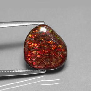 amolita Multicolor natural de 8.47 ct, Forma elegante, Opaco