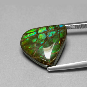 Ammolita multicolor natural de 8,69 ct, forma elegante, opaco