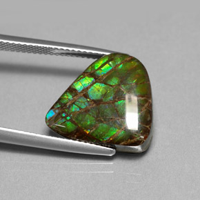 Ammolita multicolor natural de 8,69 ct, forma elegante, opaco