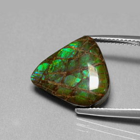 Ammolita multicolor natural de 8,69 ct, forma elegante, opaco