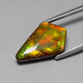 Ammolita multicolor natural de 8,80 ct, forma elegante, opaco