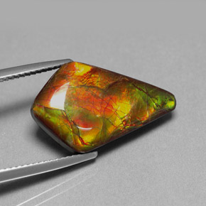 Ammolita multicolor natural de 8,80 ct, forma elegante, opaco