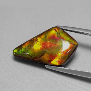 Ammolita multicolor natural de 8,80 ct, forma elegante, opaco