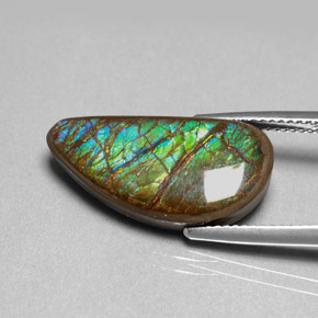 Ammolita multicolor natural de 9,39 ct, forma elegante, opaco