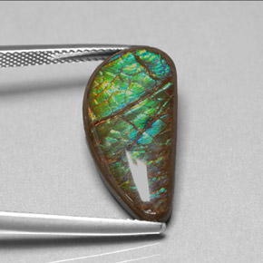Ammolita multicolor natural de 9,39 ct, forma elegante, opaco
