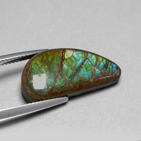 Ammolita multicolor natural de 9,39 ct, forma elegante, opaco
