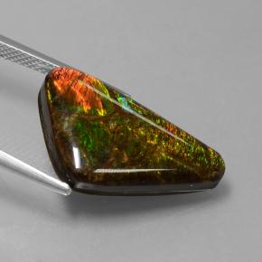 Ammolita multicolor natural de 9,50 ct, forma elegante, opaco